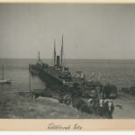 Image: A wooden jetty jutting out into the ocean with several horses and wagons and two large sail boats docked at the side