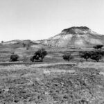 Image: large hill with small bushes in foreground