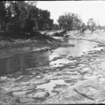 Image: View of river with trees along river bank