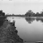 Image: View of the river with trees along the river bank