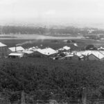 Image: buildings in vineyard with city in background