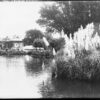 Image: A black and white photograph of a building seen from across an artificial lake with large clumps of water reeds in the foreground.