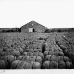 Image: wool bales in front of building