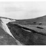 Image: Deep trench through a field with cows grazing on barehills in the background