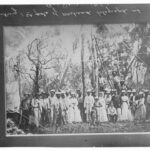 Image: First telegraph pole at Port Darwin