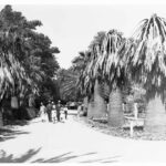 Image: Family at Zoological Gardens