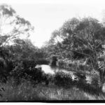 Image: view of creek and trees