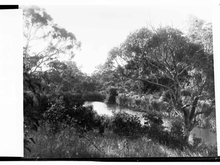 Flinders Ranges History Flinders Ranges and Far North Archives - History Hub
