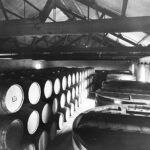 Image: wine barrels in cellar