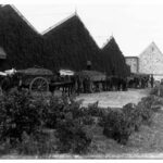 Image: horses pulling carts