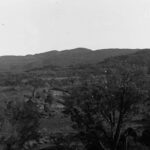 Trees in foreground, hills in background