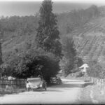 Image: Motor car in the Mount Lofty Ranges