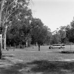 Image: Old tourist bus near gum trees