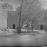 Image: two lions lying in an enclosure