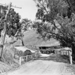 Image: A charabanc travelling along a road with fence post barriers to delineate the sharp corner for speeding motorists, 1920s.