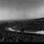 Penfolds winery, Stonyfell, 1920s