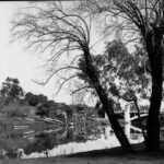 Image: Several wooden rowing boats of early twentieth century vintage line the bank of a placid river, A line of boathouses stand on the bank a short distance from the boats, and an arched bridge crosses the river in the background