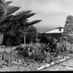 Image: A formal plant and flower garden is located in front of a small, single-storey cottage