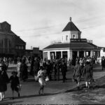 Image: People are walking through the Royal Adelaide Showgrounds.  There are two buildings in the background.  One of the buildings is named: Amscol Ice Cream.