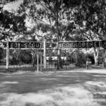 Boy Scout Corroboree sign between gum trees