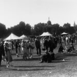 Group of people in a park, one in swimming costume