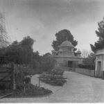 Image: Zoological Gardens