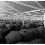 Image: Bags of wool fill a large hall at Port Adelaide