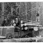 Image: Logging truck