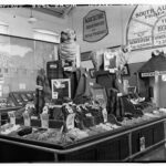 Image: Samples of wool are on display at an Agricultural exhibition at the Royal Adelaide Show