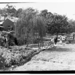 Image: Five women and two men pose for a photograph in a small terraced garden. A small pool in the middle of the garden is flanked by two trees and a stone wall