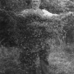 Image: A bearded middle-aged man wearing a waistcoat and trousers holds a clump of creeping vine between his two outstretched arms