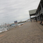 Image: Concrete wharf and large iron shed