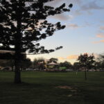 Image: A grassy park interspersed with trees and a single wooden gazebo. A large road with several cars and a number of large buildings are visible in the background