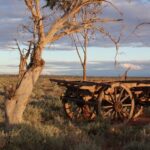 Image: wooden wagon in outback