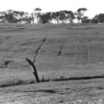 Image: hillside landscape with visible furrows