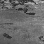 Image: aerial view of furrowed landscape