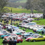 Image: large group of cars in multiple lines on grassed area