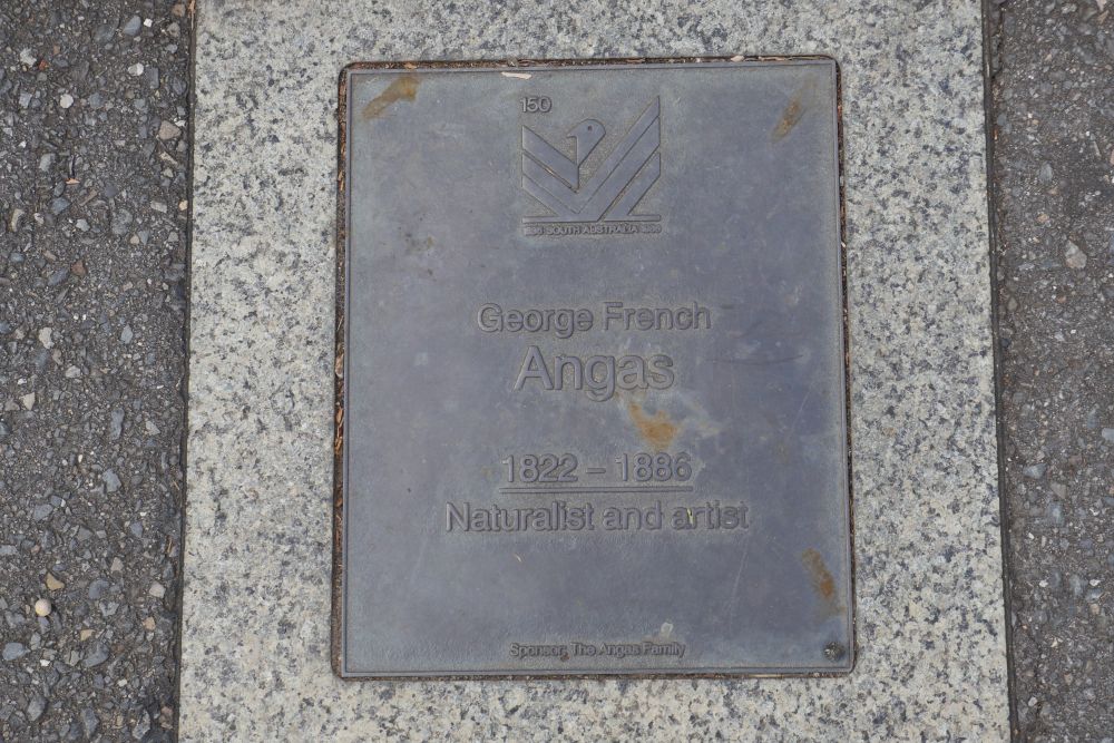 J150 Plaque, George French Angas