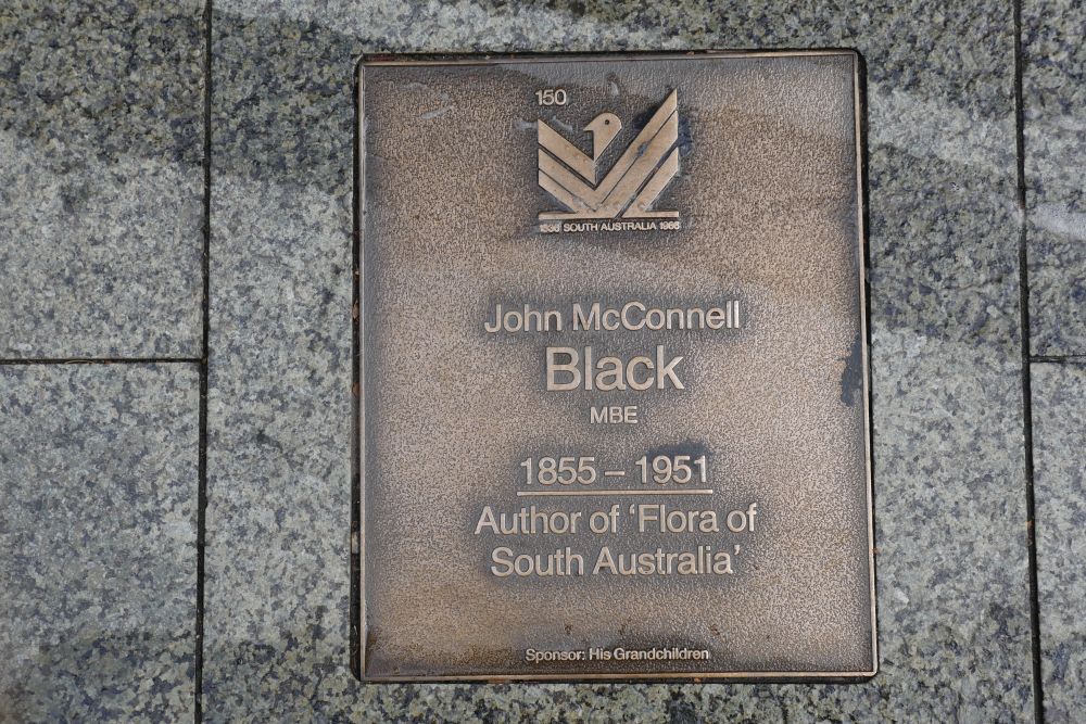 J150 Plaque, John McConnell Black