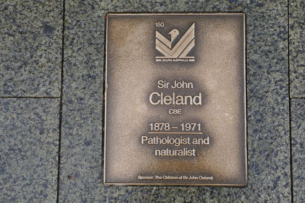 J150 Plaque, Sir John Cleland