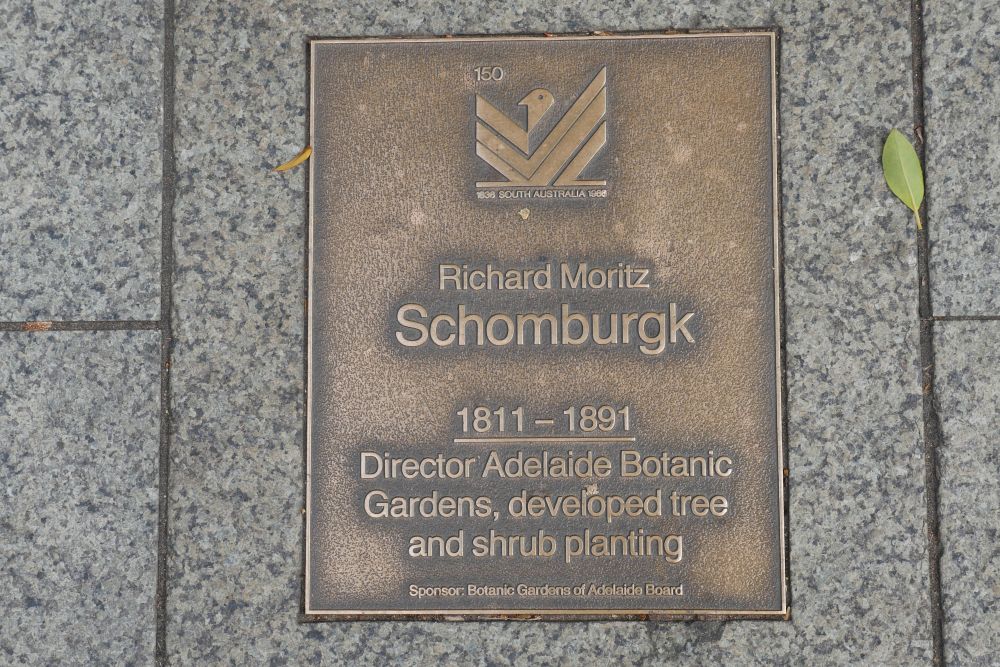 J150 Plaque, Richard Moritz Schomburgk