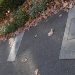 Image: row of bronze plaques embedded in footpath