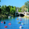 Image: a number of small coloured paddle boats and a larger white motorboat travel down a wide gentle river which passes through parklands and under a stone bridge.