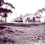 Image: buildings, dirt road and gum trees