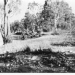 Image: the remains of a campsite surrounded by trees, with a river in the background