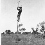 Image: A man holding onto a thin telegraph pole which he has just climbed, almost to the very top