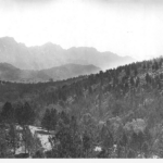 Image: Black and white photograph of sloped woodlands and hills in the background.