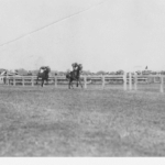 Image: Black and white photo of horserace in progress