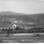 Image: view of farming properties