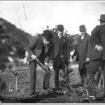 Image: Arbor Day